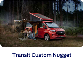 custom nugget
